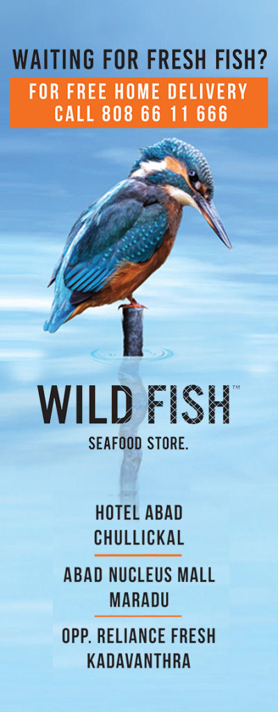wildfish stores contact